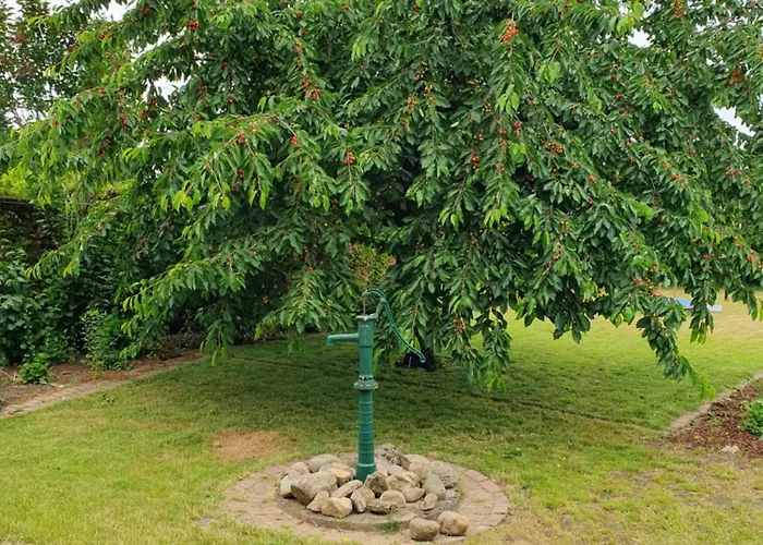 Neumuhler Hof: Spacious Family Retreat With Garden Terrace *