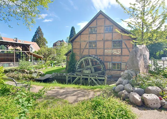 Apartment Neumuhler Hof: Spacious Family Retreat With Garden Terrace Schwerin (Mecklenburg-Vorpommern)